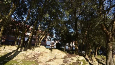 Penthouse on Calle del Bosque photo 9