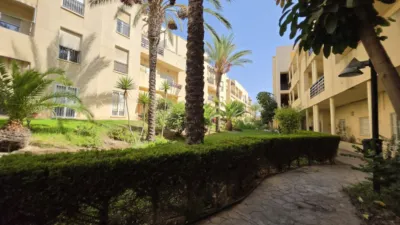 Apartment on Camino del Pavo Real photo 25