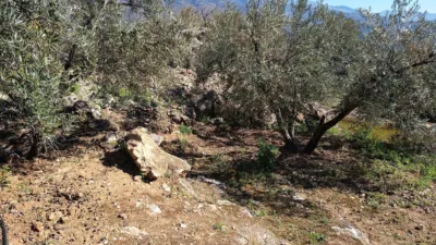Rustic farm on Calle del Mimbre photo 6