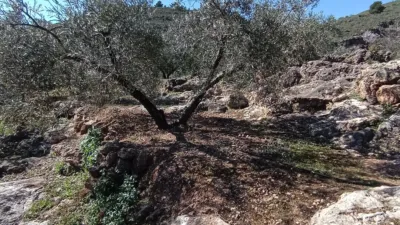 Rustic farm on Calle del Mimbre photo 5