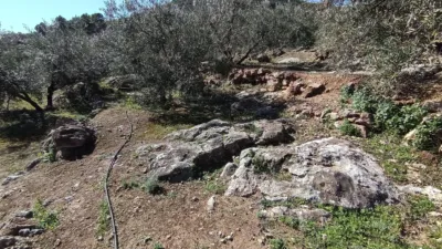 Rustic farm on Calle del Mimbre photo 7