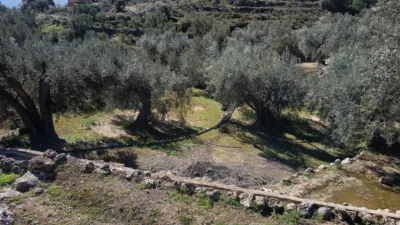 Rustic farm on Calle del Mimbre photo 4
