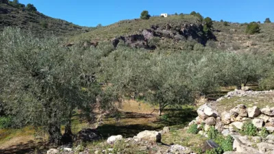 Rustic farm on Calle del Mimbre photo 3