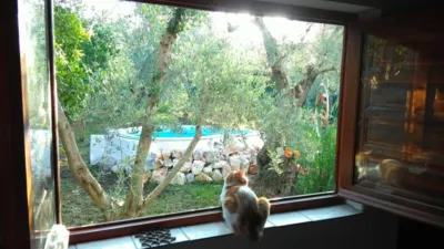 House on Camino Benizalte Alto photo 9