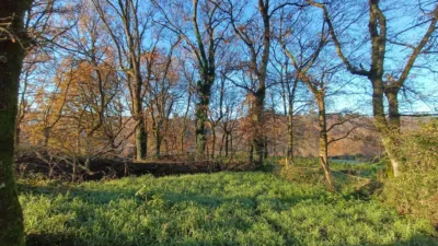 Rustic farm in Bergazos Street photo 4