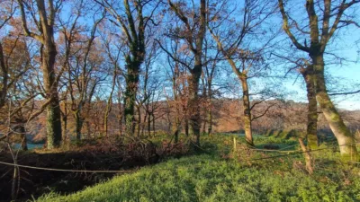 Rustic farm in Bergazos Street photo 5