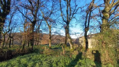Rustic farm in Bergazos Street photo 9