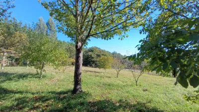 House for sale on Calle Madrosende photo 30
