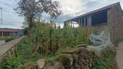 House in Pasaje Regalade photo 6