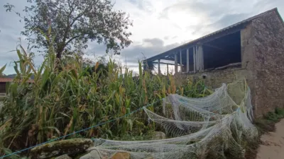 House in Pasaje Regalade photo 5