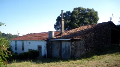 House on Meixome Street photo 11