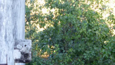 House on Meixome Street photo 24