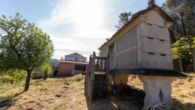 House on Senin Street photo 12