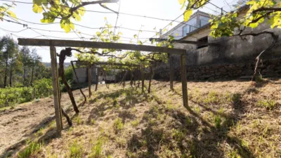 House on Senin Street photo 17