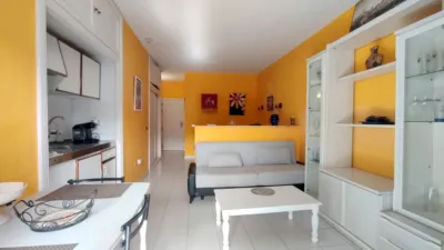 Studio in El Botánico photo 6