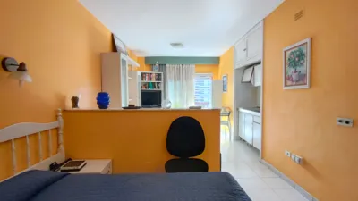 Studio in El Botánico photo 16