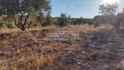 Terreno en venta en Povedilla - Vista 5