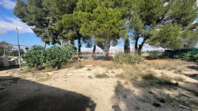 Finca rústica en Pedanías y Barrios Rurales photo 32