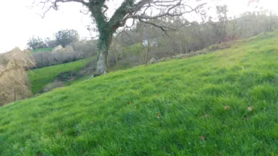 Finca rústica en venta en Calle Moradillos, Número 1, El Arenal de Penagos (Penagos) de 244.000 €