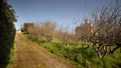 Detached Family Home on Avenida de San Juan de la Canal photo 33