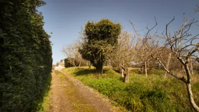 Detached Family Home on Avenida de San Juan de la Canal photo 34