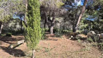 Casa en alquiler en Partida Garduix - Vista 4
