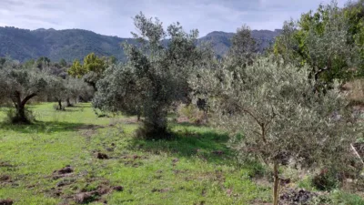Casa – Castell de Castells, la Marina Alta - Vista 5