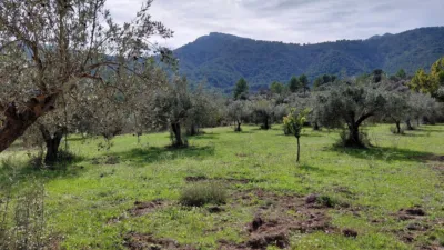 Casa – Castell de Castells, la Marina Alta - Vista 3