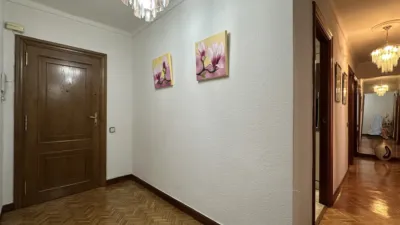 Apartment on Reparaz Doktorearen Kalea photo 2