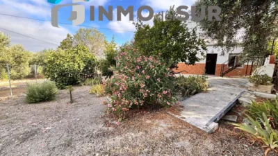 Rustic house on Diseminados Street photo 4