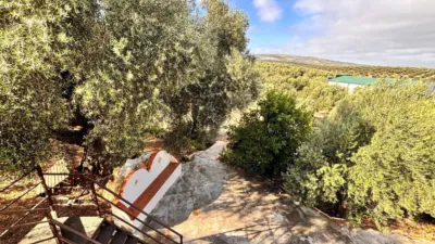 Rustic house on Diseminados Street photo 15