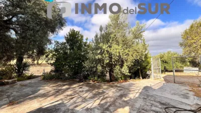 Rustic house on Diseminados Street photo 16