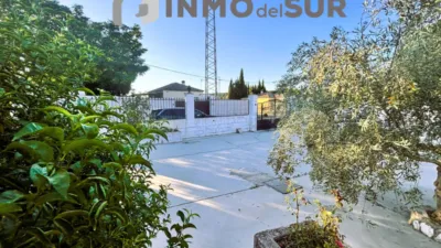 Rustic house in La Alcantarilla photo 3