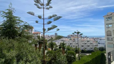 Apartment on Avenida Reina Sofía photo 15
