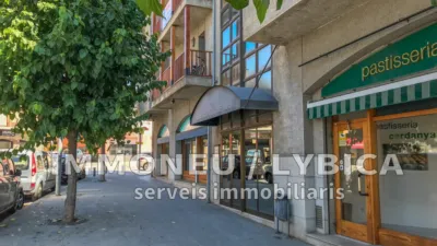 Duplex on Avinguda de Catalunya photo 25