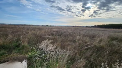 Finca rústica en venta en Polígono Alcantar, Fuente el Saz de Jarama de 75.000 €