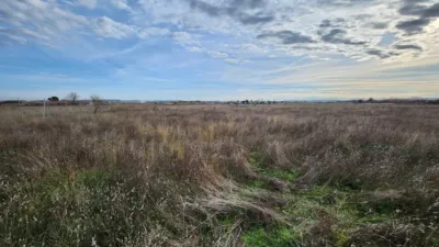 Finca rústica en venta en Polígono Alcantar, Fuente el Saz de Jarama de 75.000 €