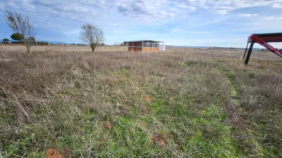 Finca rústica en venta en Polígono Alcantar, Fuente el Saz de Jarama de 75.000 €