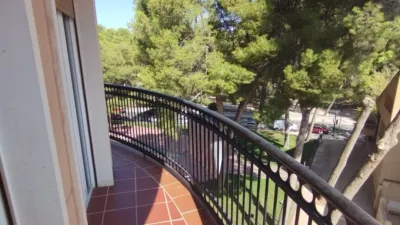 Apartment in Hospital-Parque Sur photo 28