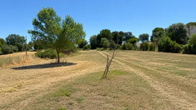 Rustic finca in Cruïlles photo 22