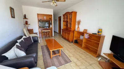 Apartment on Calle Eucaliptus, 8 photo 8