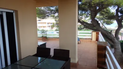 Apartment in Miami Platja photo 8