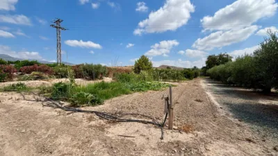 Chalet on Calle Totana, Zona Huertos, No. S/N photo 32