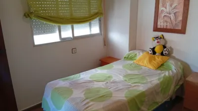 House on Calle Zona Centrica, No. S/N photo 13