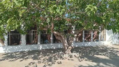 Chalet on Calle Zona Alrededores Totana, No. S/N photo 50
