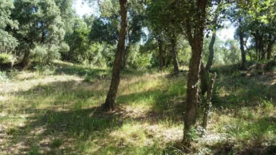 Casa en Urbanització de la Vall Repòs photo 39