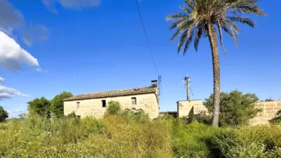 Rustic chalet at Camí de Son Xorc, 200 photo 22