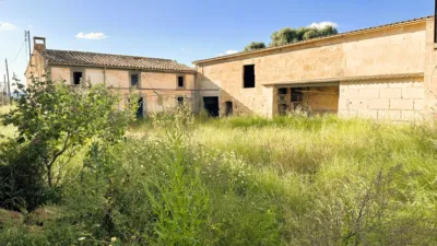 Rustic chalet at Camí de Son Xorc, 200 photo 5