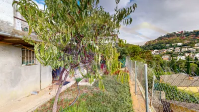 House on Carrer de l'Illa, 46 photo 89