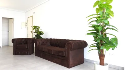 Apartment in Cabo Romano Urbanization, Km. 7 photo 6